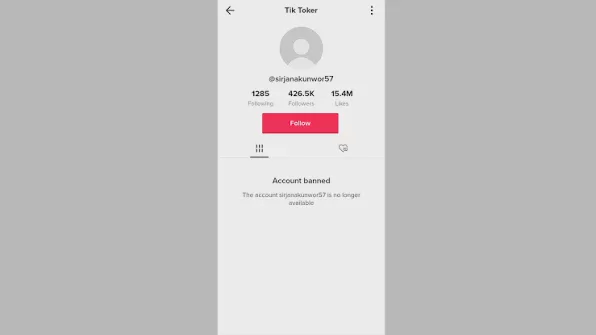 2026_年_TikTok_账号共享安全吗？团队协作管理完整指南 图2