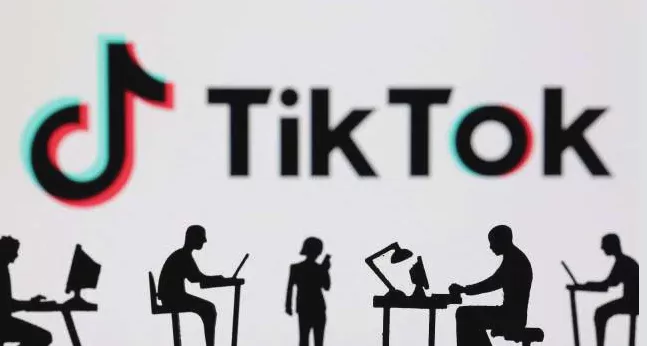 2026_年_TikTok_账号共享安全吗？团队协作管理完整指南 图1